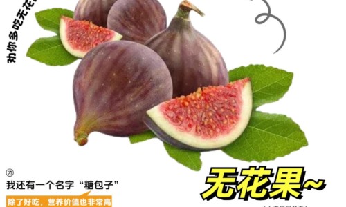 花青素功效-花青素功效网 | 花青素功效与作用营养,花青素功效