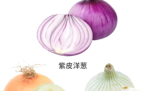 花青素功效网 | 花青素功效与作用营养,花青素功效